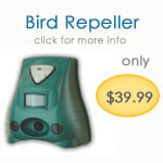 Bird Repeller