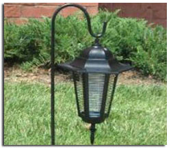 Lamp and Bug Zapper
