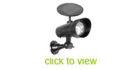Spot Lights